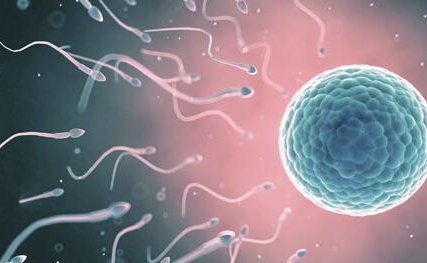 三代试管婴儿多少钱？这些公司价格便宜信誉良好