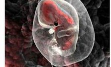 多囊和弱精做几代试管能怀孕成功呢？